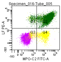 Figure 7: Double labeling of a normal blood sample treated with GAS-002, and immunostained for Lactoferrin (PE) and MPO-C2 (FITC).